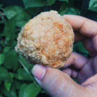 Bakso Goreng Babi Lezat dari Mafred Kitchen Kelapa Gading