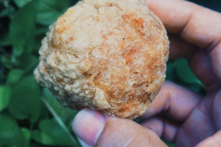 Bakso Goreng Babi Kelapa Gading